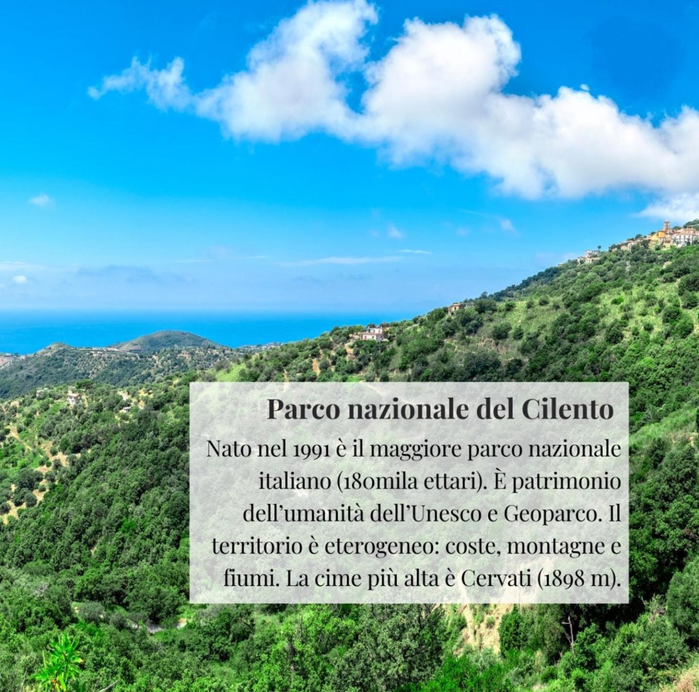 Appartement Nennella Cilento House à Cuccaro Vetere Extérieur photo